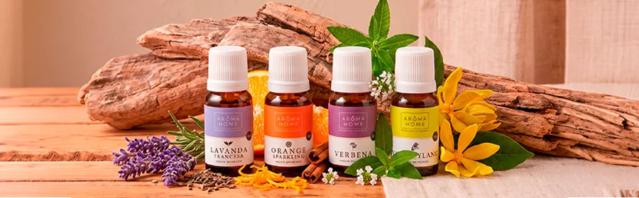 Aceites Tradicionales