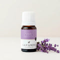 Lavanda
