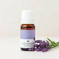 Lavanda Francesa