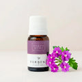 Verbena